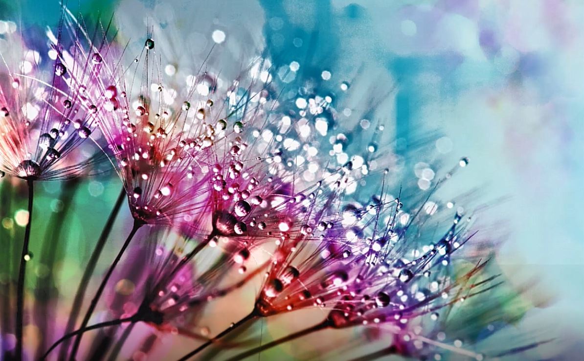 notre rapport à la nourriture