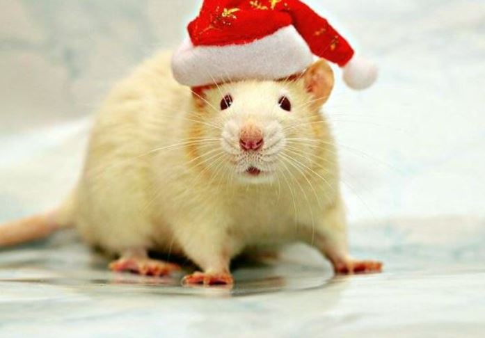 Newsletter janvier 2020